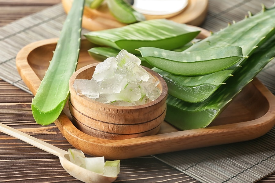 use aloe vera to regrow hair naturally