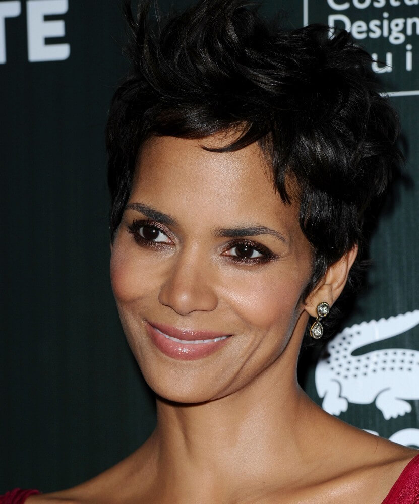 Halle Berry Hairstyles.