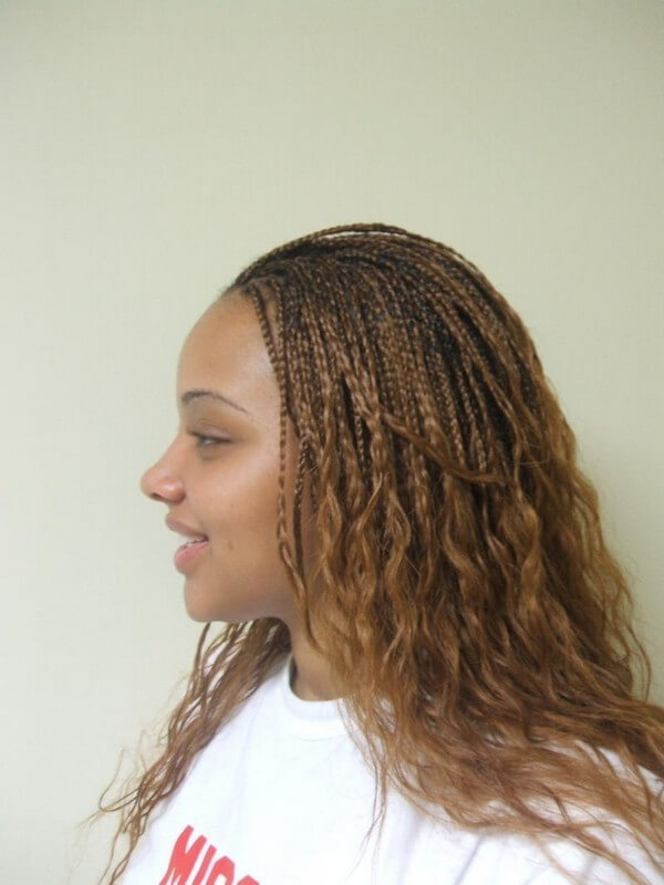 Micro Braids Hairstyles