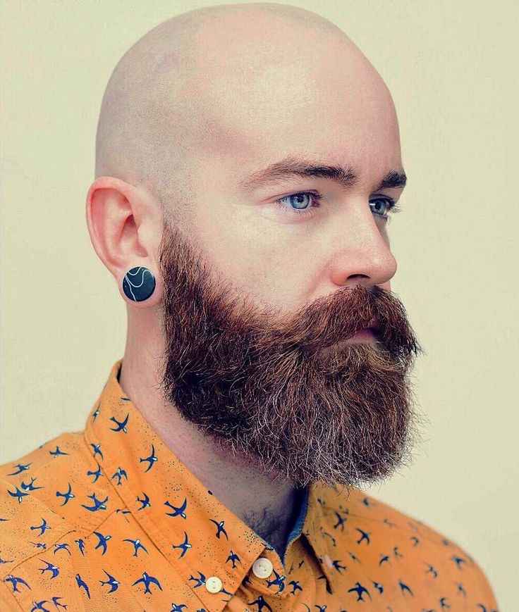 35 Beard Styles for Bald Guys to Look Stylish and Attractive | Hairdo  Hairstyle