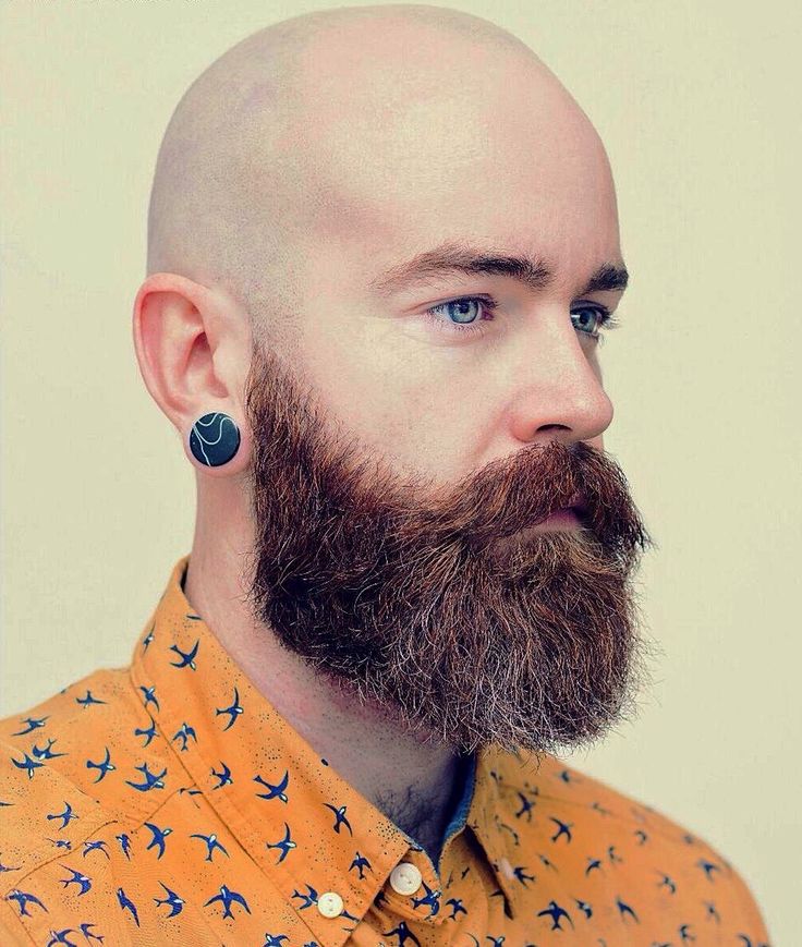 Beard Styles for Bald Guys