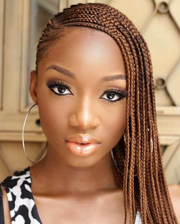 35 Lemonade Braids Hairstyles for All Ages Women | Hairdo Hairstyle