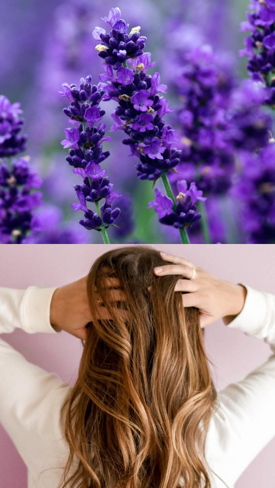 Herbal Hair Care Tips