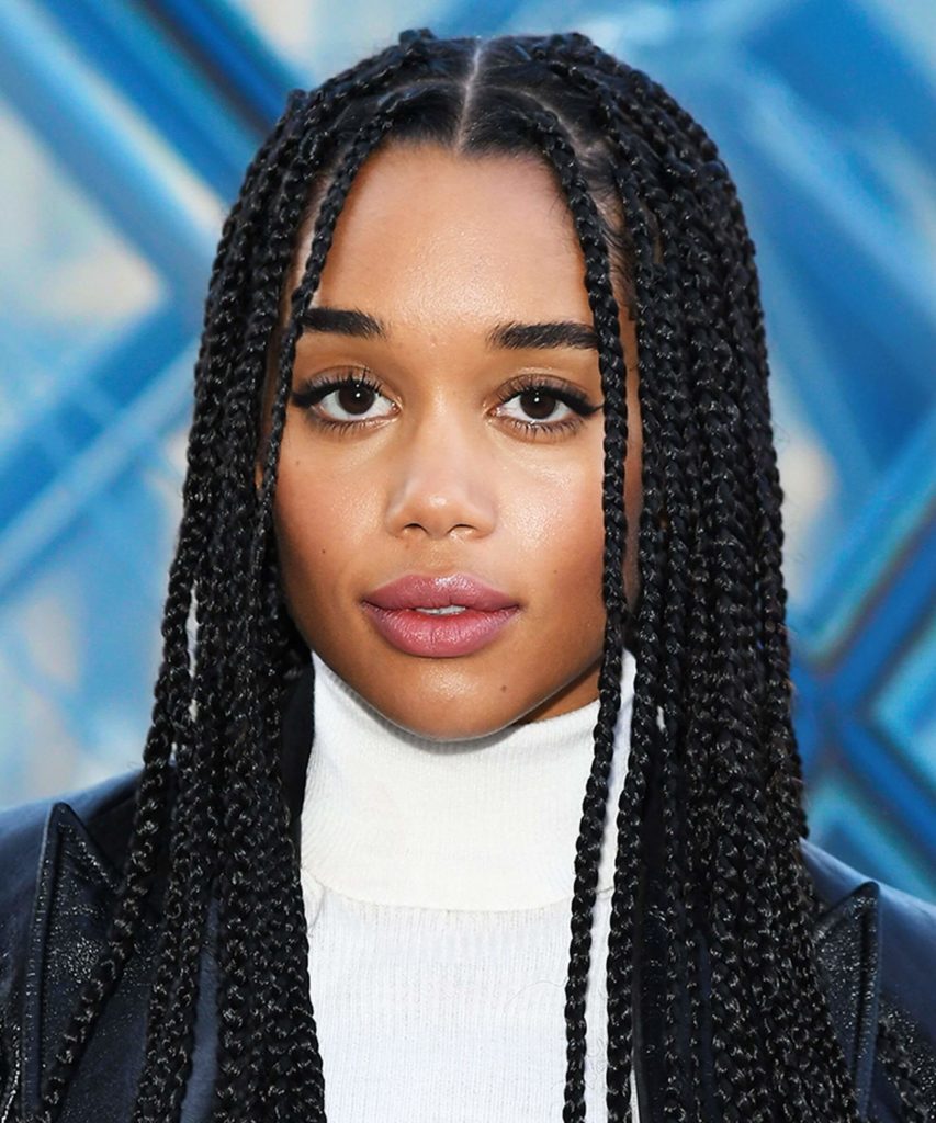 Top 20 Knotless Box Braids Hairstyles | Hairdo Hairstyle