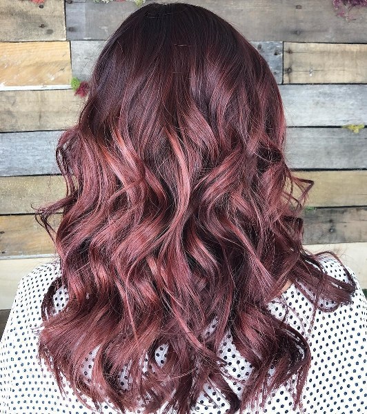  Best Burgundy hair with highlights 2020 Photo ideas  step by step