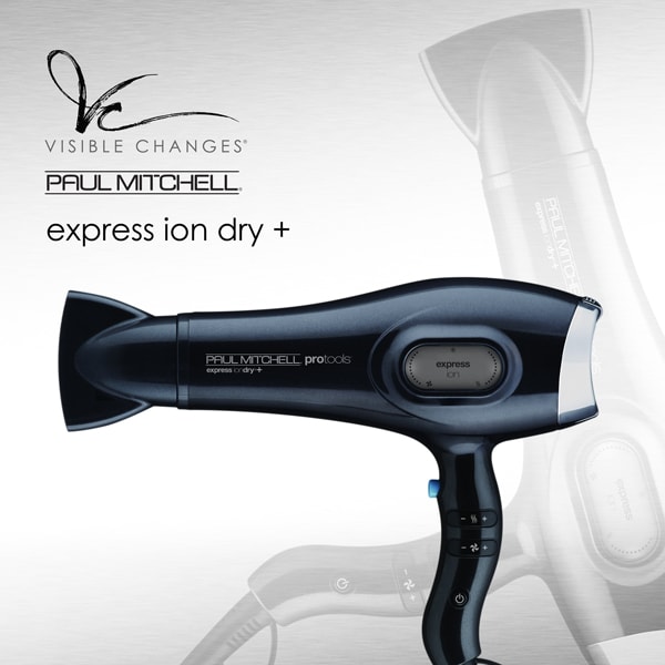 Express Ion Dry+ Hair Dryer