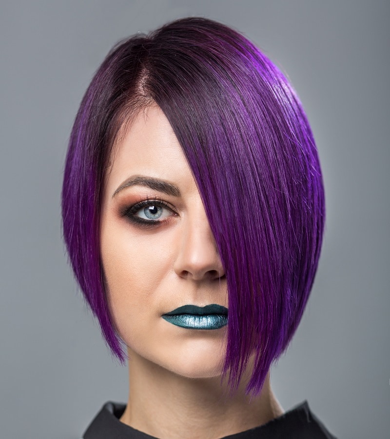 purple pixie bob