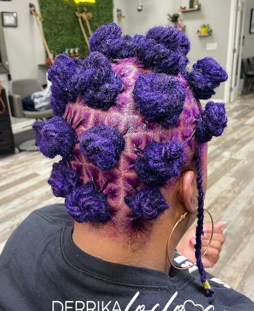 dark purple bantu knots